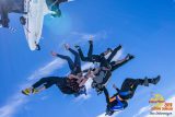 Seven skydivers in formation are free-falling against a clear blue sky. An airplane is in the background. The skydivers are wearing colorful gear and helmets, capturing an exhilarating moment above Skydive Carolina.