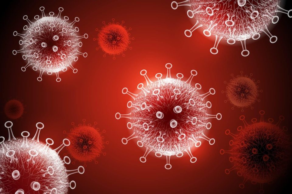 Illustration of virus particles on a red background. The spherical particles are depicted with spiky protrusions, creating a detailed and abstract representation of viral structures.