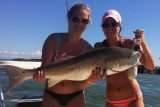 Two people on a boat holding a large fish, smiling at the camera. They are wearing swimwear and sunglasses. The sky is clear and the sea is calm.