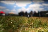 Close-up of grass with a blurred background showing a group of people under a blue sky with scattered clouds. Text at the top reads "CarolinaFest 2012 - Saturday." A play button is centered over the image.