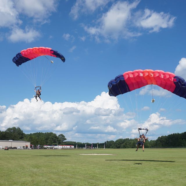 Two people with red and blue parachutes are skydiving toward a grassy landing area. The sky is bright with scattered clouds. A building and trees are visible in the background.