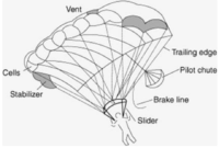 How Do Skydivers Know Where to Land?